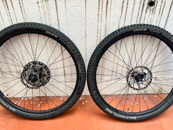 Used 2024 Cannondale MTB Aluminum Wheels bike