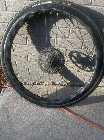 Used rol Falcon Premium Carbon Wheelset 2024 bike — image 3 of 7
