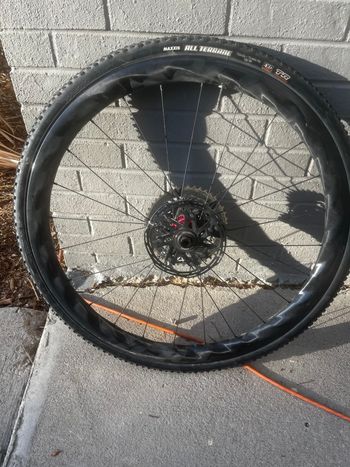 Used rol Falcon Premium Carbon Wheelset 2024 bike — image 4 of 7