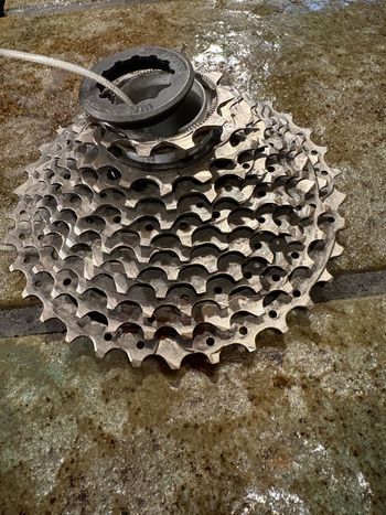 Used 2024 Zahnkranz bike — image 2 of 2