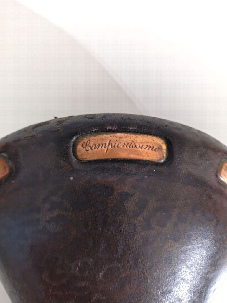 Used 1989 Selle Italia Campionissima bike — image 6 of 7