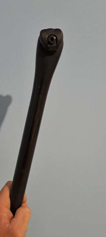 2025, Carbon Reggisella