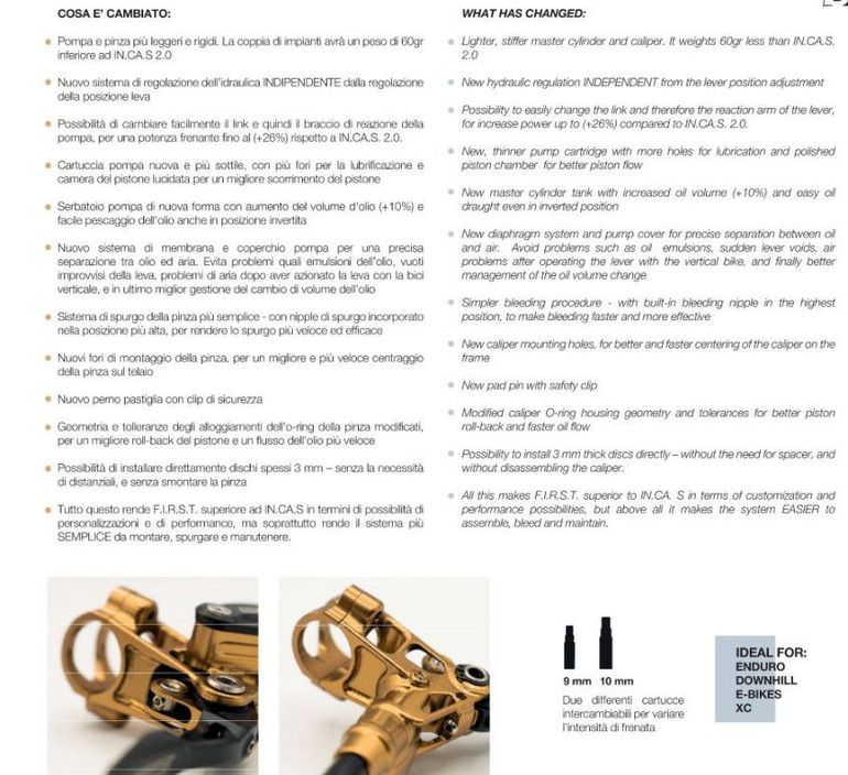 Slide 7