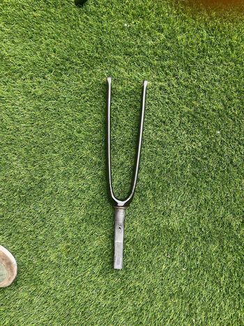 2025, Fork