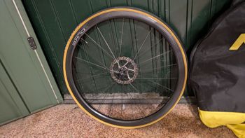 Used Duke Baccara 2021 bike — image 1 of 6