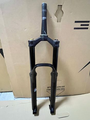 Used 2022 Selva C Coil bike