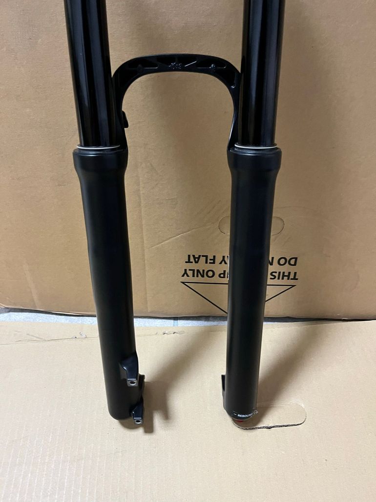 Used 2022 Selva C Coil bike — image 4 of 8