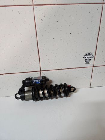 Fox, DHX3 Shock