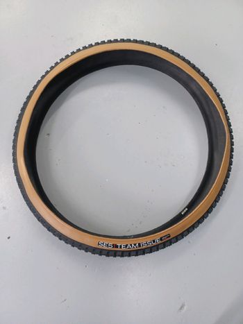 Used Bontrager SE5 team issue bike — image 1 of 2