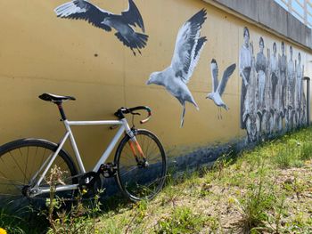 Used Halo aerotrack 2024 bike — image 1 of 4