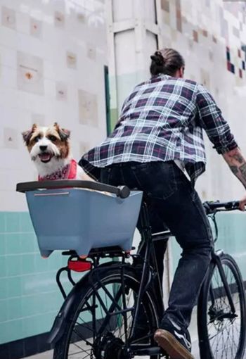 Used BASIL Pet Carrier 2024 bike