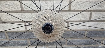 Used Quasar QS35 Carbon Wheelset 2022 bike — image 5 of 11