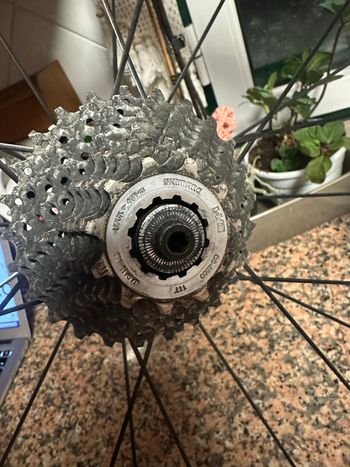 Used Sonic competition full carbon bike — image 5 of 8