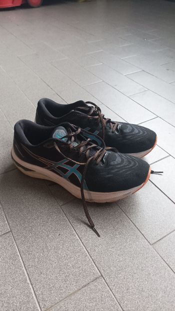 Asics, GT-2000 11