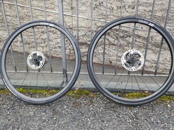Dt Swiss, PRC Dicut Mon Chasseral DB 24 Carbon