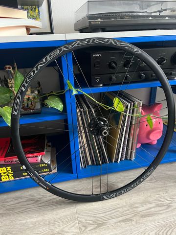Brugt 2023 Campagnolo Zonda bike — billede 2 af 6