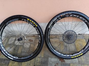 2024, 29" Carbonio MTB Canale 30