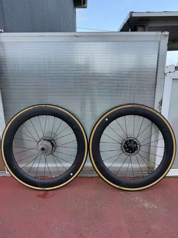 Specialized, Rapide CLX64 Pair