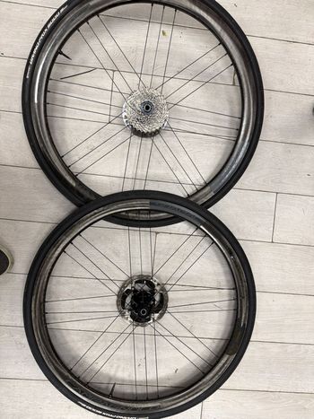 2024, Shamal Dual Profile Wheelset