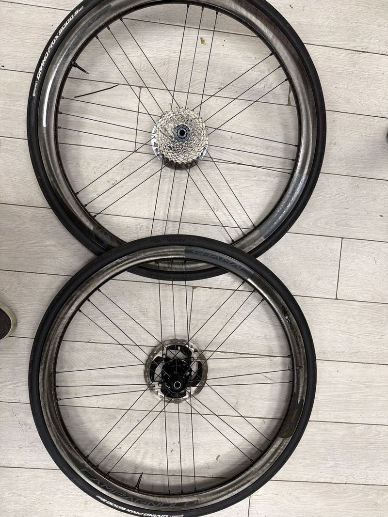 Tweedehands 2024 Shamal Dual Profile Wheelset Wheels