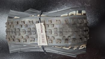 Used Schwalbe Racing Ralph 29x2.25 Evo Novo 2026 bike