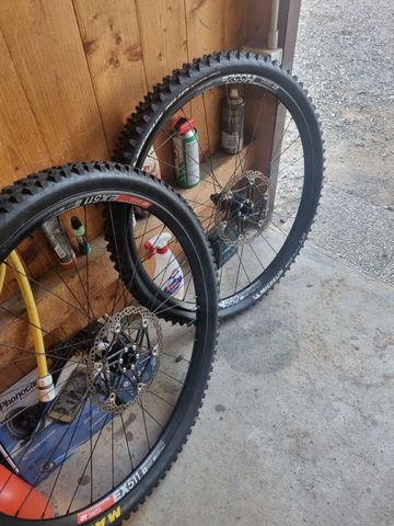 2025 Ruote custom Dt swiss Wheels usato
