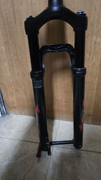 Fox, 32 Rhythm Fork
