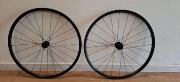 2026, Paradigm 23 TLR Disc Road