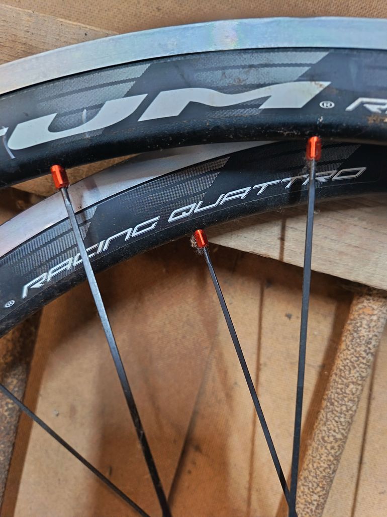 Used Fulcrum Racing Quattro Corps Campagnolo 2025 bike — image 5 of 7