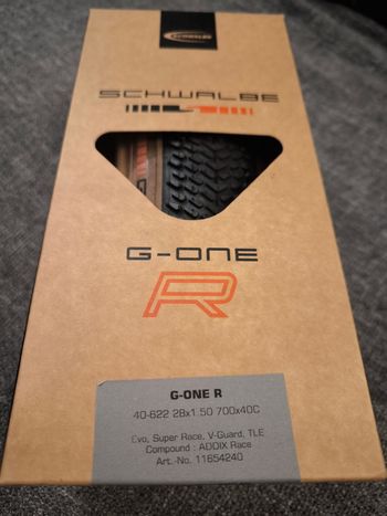 Schwalbe, G-ONE R