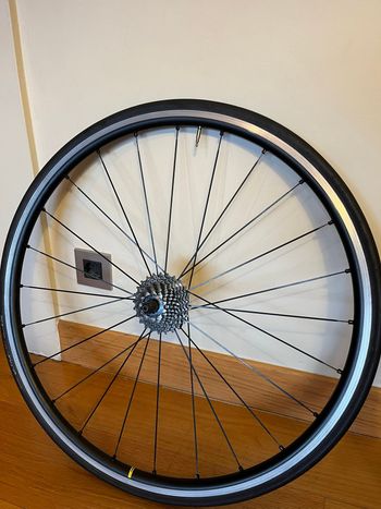 Used 2024 Ksyrium S Wheelset bike — image 3 of 8