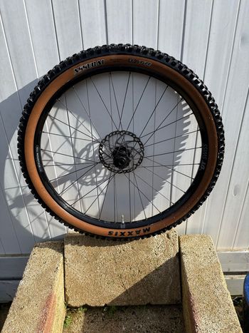 Used Dt Swiss Roue Avant Complète bike — image 1 of 4