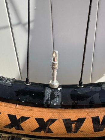 Used Dt Swiss Rear Complete Wheel bike — image 5 of 5