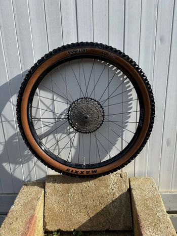 Used Dt Swiss Rear Complete Wheel bike