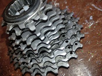 Used 2020 Pacco Pignoni chorus bike — image 3 of 4
