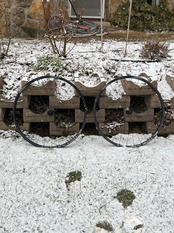 2024, Evolution SL A.30 29" Wheelset