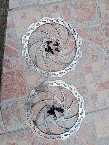Used Massi Dischi bike