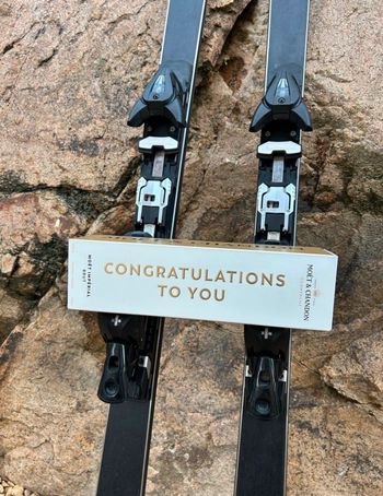 Used zai SCADIN Ski bike — image 14 of 19