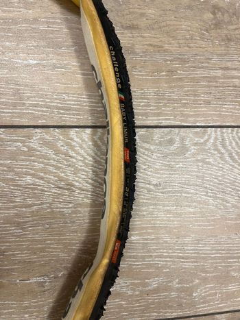Used Challenge Baby Limus 33 bike — image 2 of 3