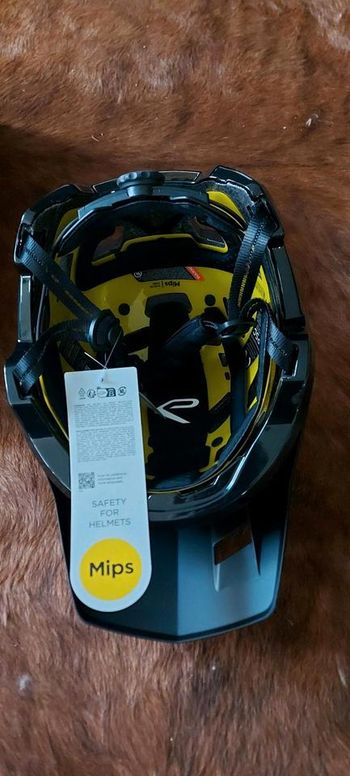 Used 2025 Forest bike — image 6 of 6