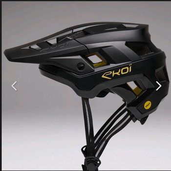 Used 2025 Forest bike — image 2 of 6