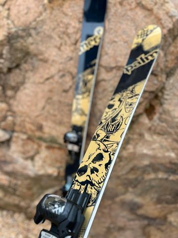 Gebrauchtes PALMER KESSLER PO3 TWIN SKI bike — Bild 9 von 11