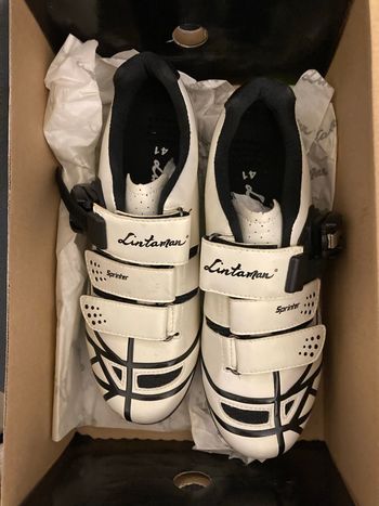 Used Lintaman Sprinter bike — image 1 of 5