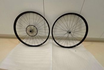 Newmen, Evolution SL
