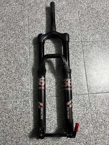 Fox, 36 Performance Fork