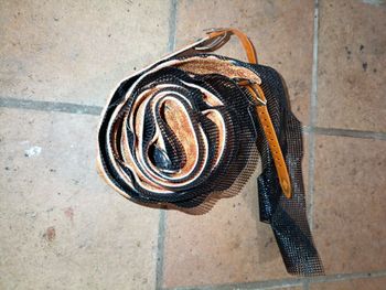 Used Black Diamond Guru Skis 2010 bike — image 4 of 4