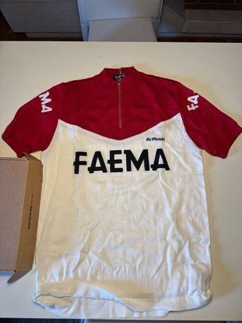 De Marchi, 1970 Faema Jersey Authorized Replica