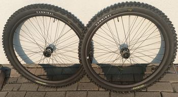 Roval, Traverse Alloy 350 6B Wheelset