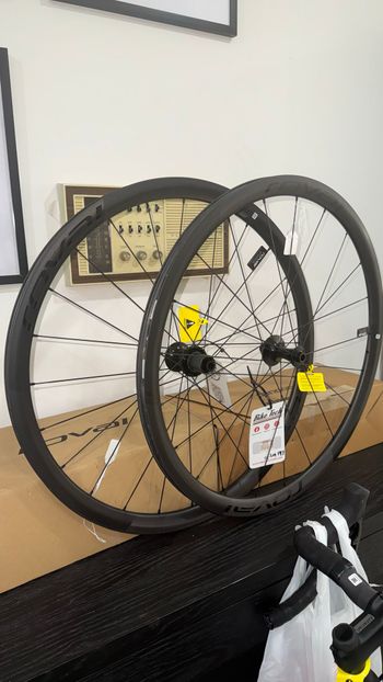 Specialized, Alpinist CLX HG Rear Wheel