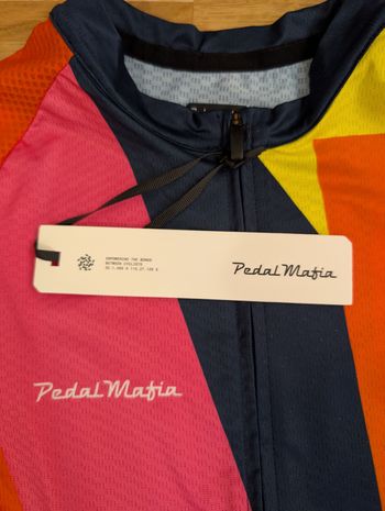 Used Pedal Mafia ZWIFT 10 Years Anniversary Mens Core Jersey 2024 bike — image 3 of 5